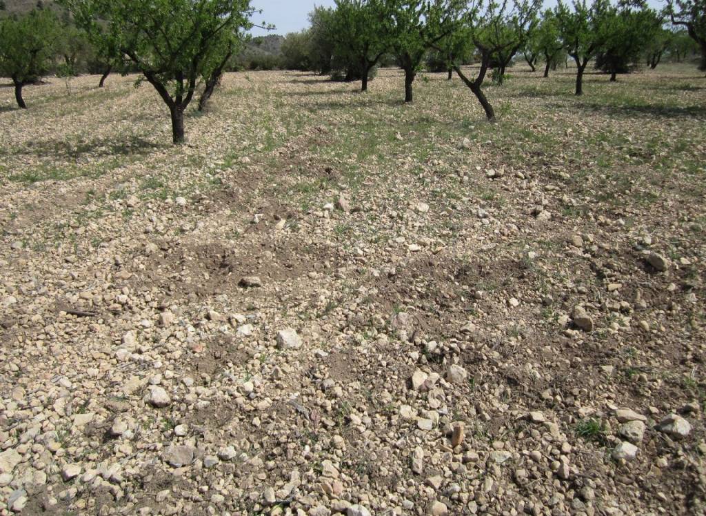 Resale - Land - Yecla