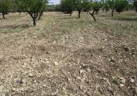 Resale - Land - Yecla