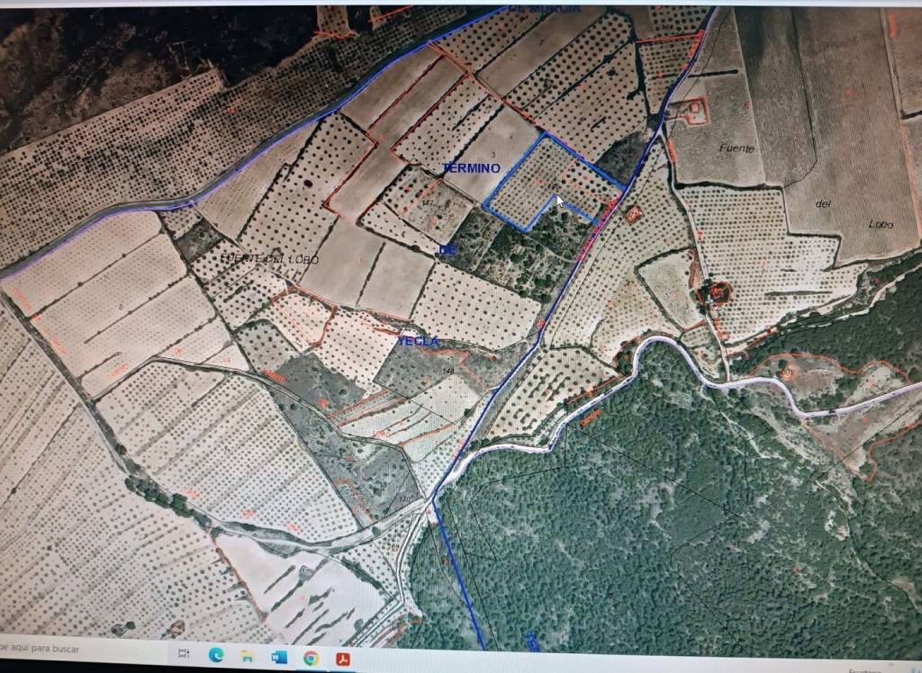 Resale - Land - Yecla