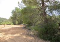 Resale - Land - Yecla