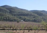 Resale - Land - Yecla