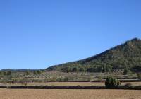 Resale - Land - Yecla