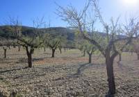 Resale - Land - Yecla