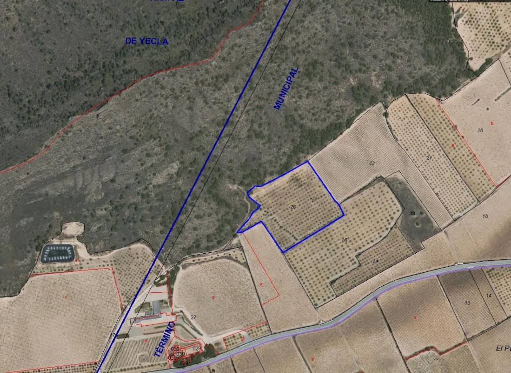 Resale - Land - Yecla