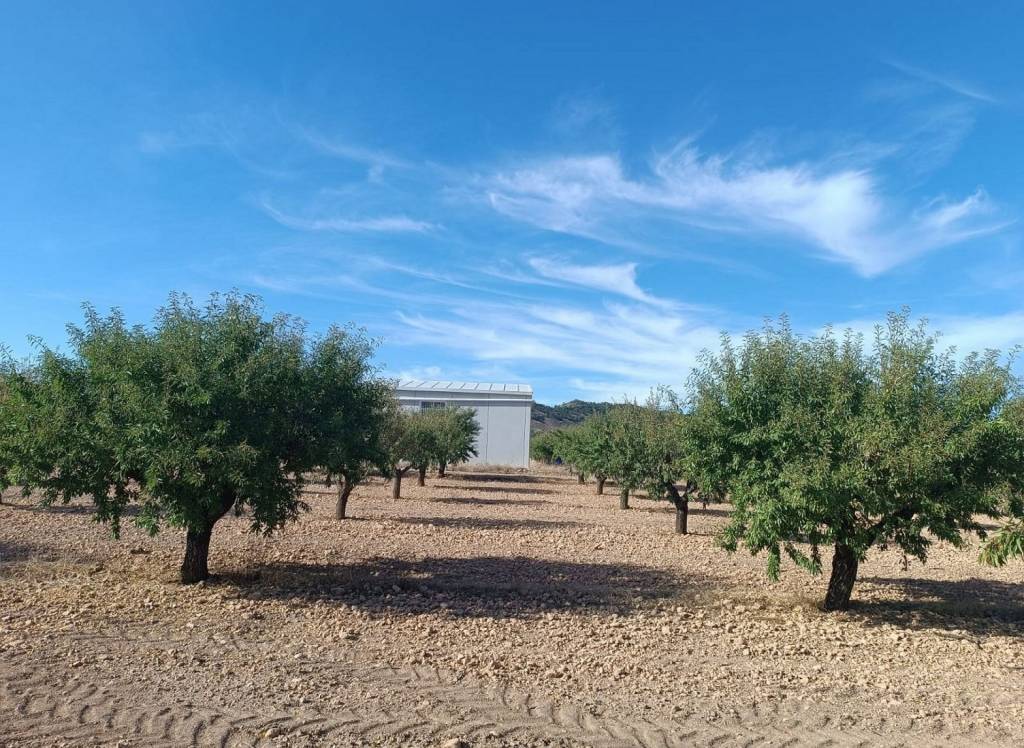 Resale - Land - Yecla