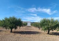 Resale - Land - Yecla