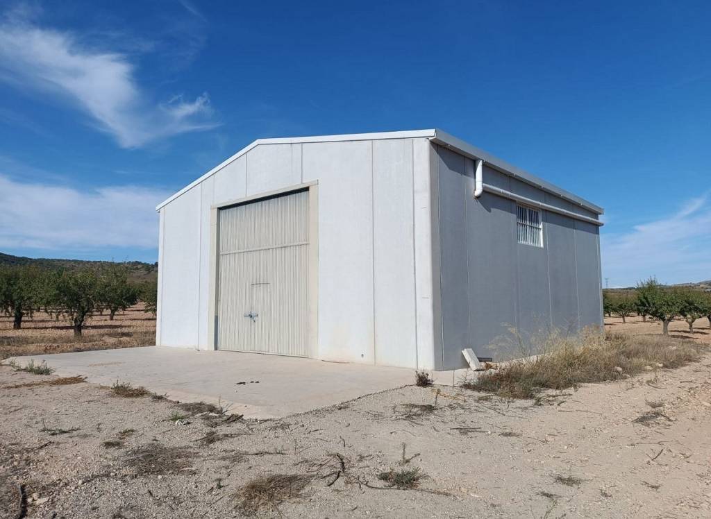 Resale - Land - Yecla