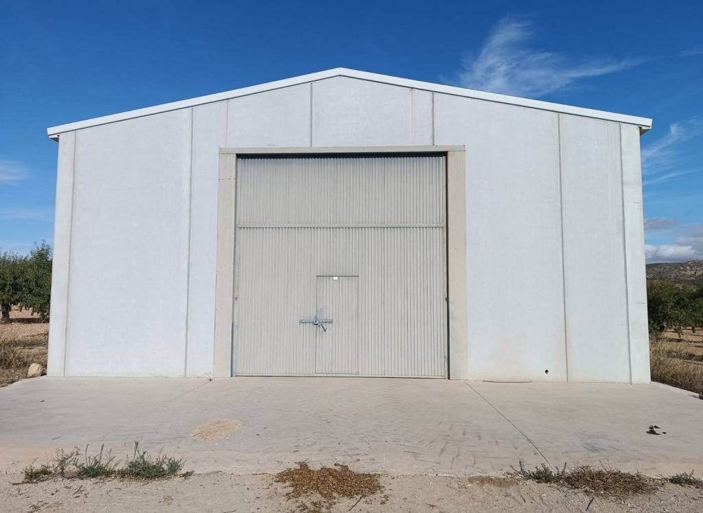 Resale - Land - Yecla