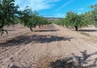 Resale - Land - Yecla