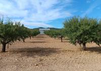 Resale - Land - Yecla