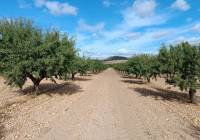 Resale - Land - Yecla