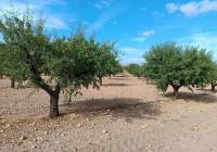 Resale - Land - Yecla