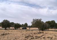 Resale - Off Plan/New Build Villa - Monovar - In hamlet