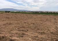 Resale - Off Plan/New Build Villa - Pinoso - Rural location