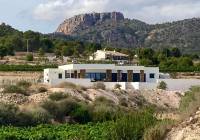 Resale - Off Plan/New Build Villa - Pinoso - Rural location