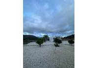 Resale - Off Plan/New Build Villa - Pinoso - Rural location