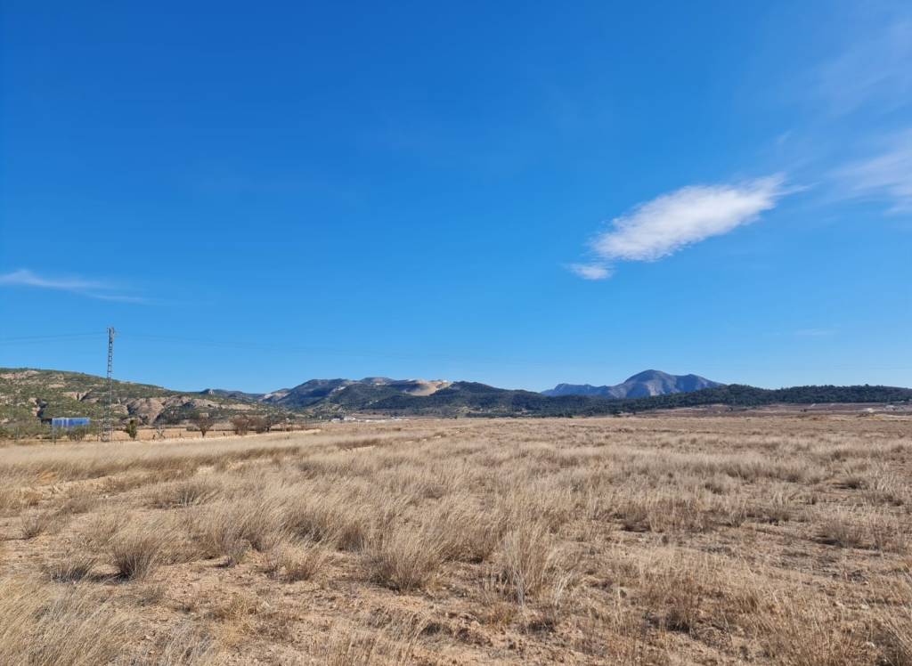 Resale - Off Plan/New Build Villa - Pinoso