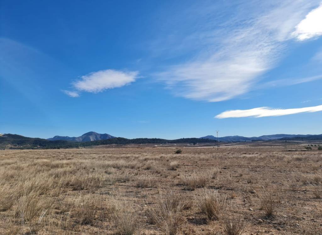 Resale - Off Plan/New Build Villa - Pinoso