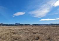 Resale - Off Plan/New Build Villa - Pinoso