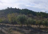 Resale - Restoration Project - Macisvenda - Rural location