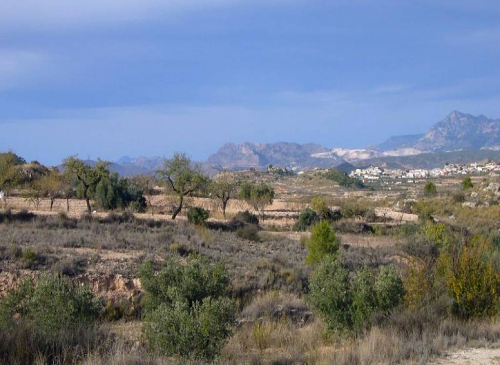 Resale - Restoration Project - Macisvenda - Rural location