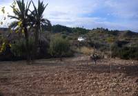 Resale - Restoration Project - Macisvenda - Rural location