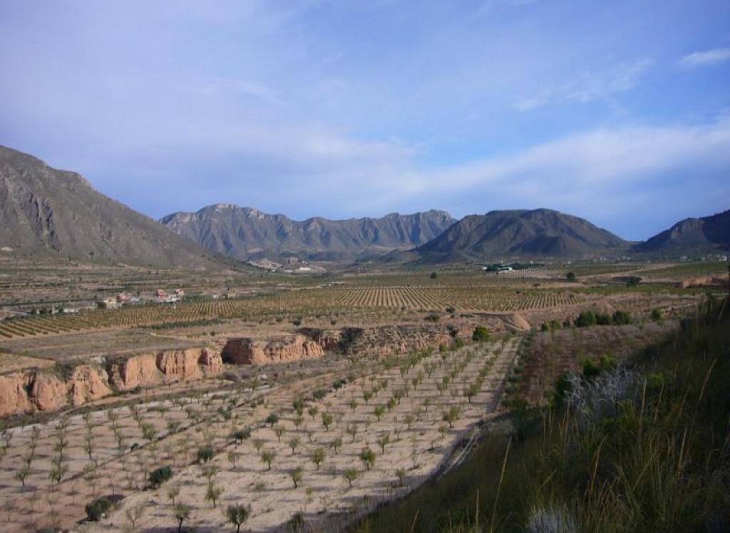 Resale - Restoration Project - Macisvenda - Rural location