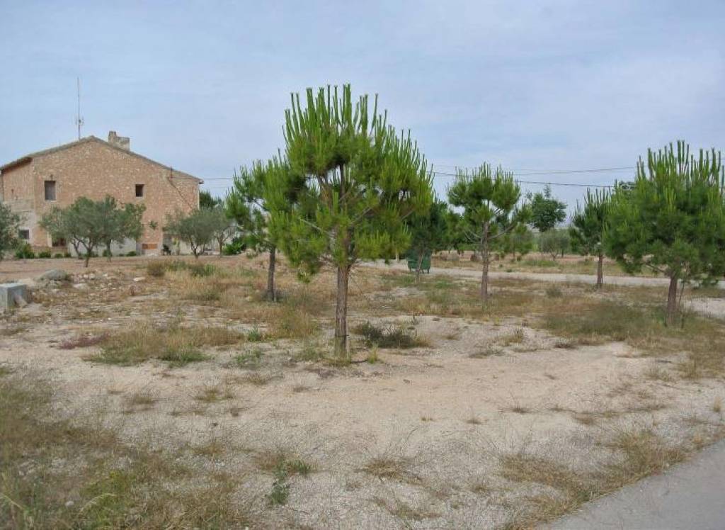 Resale - Restoration Project - Pinoso - Rural location