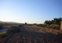 Resale - Restoration Project - Rodriguillo - In hamlet