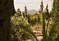 Resale - Restoration Project - Salinas - Rural location