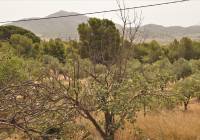 Resale - Restoration Project - Salinas - Rural location