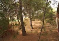 Resale - Restoration Project - Salinas - Rural location