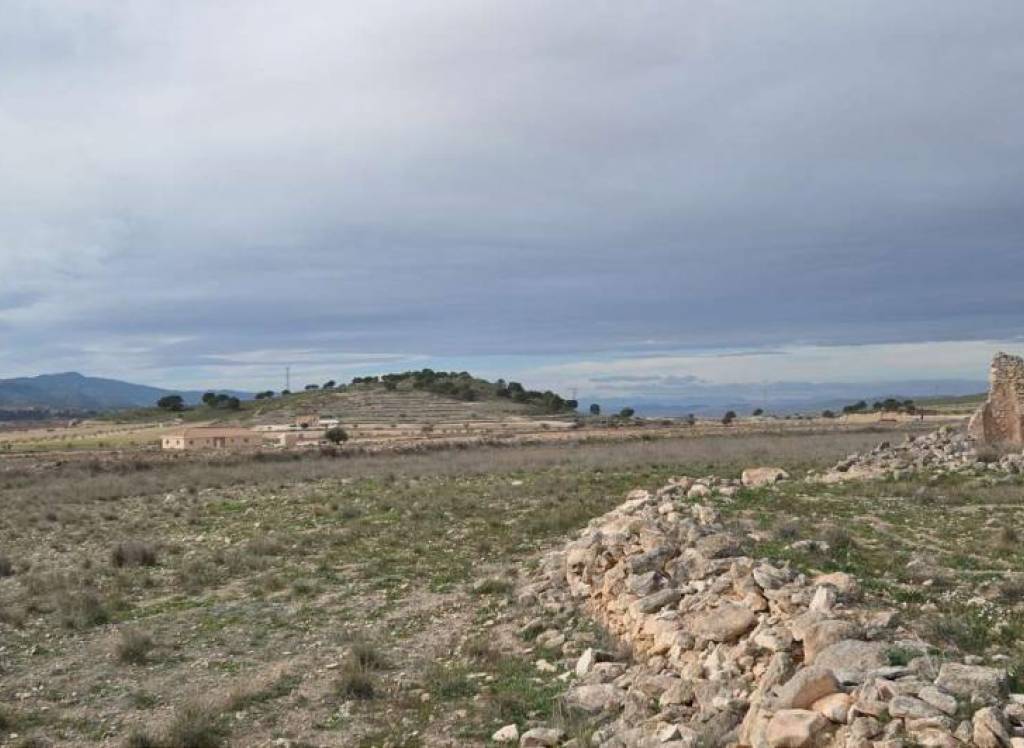 Resale - Restoration Project - Torre Del Rico - Edge of town