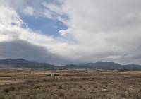 Resale - Restoration Project - Torre Del Rico - Edge of town