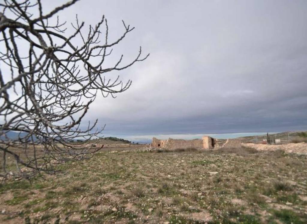 Resale - Restoration Project - Torre Del Rico - Edge of town