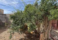 Resale - Semi-Detached - Pinoso