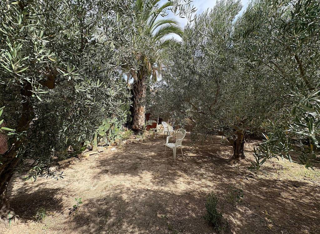 Resale - Semi-Detached - Pinoso