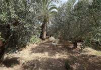 Resale - Semi-Detached - Pinoso