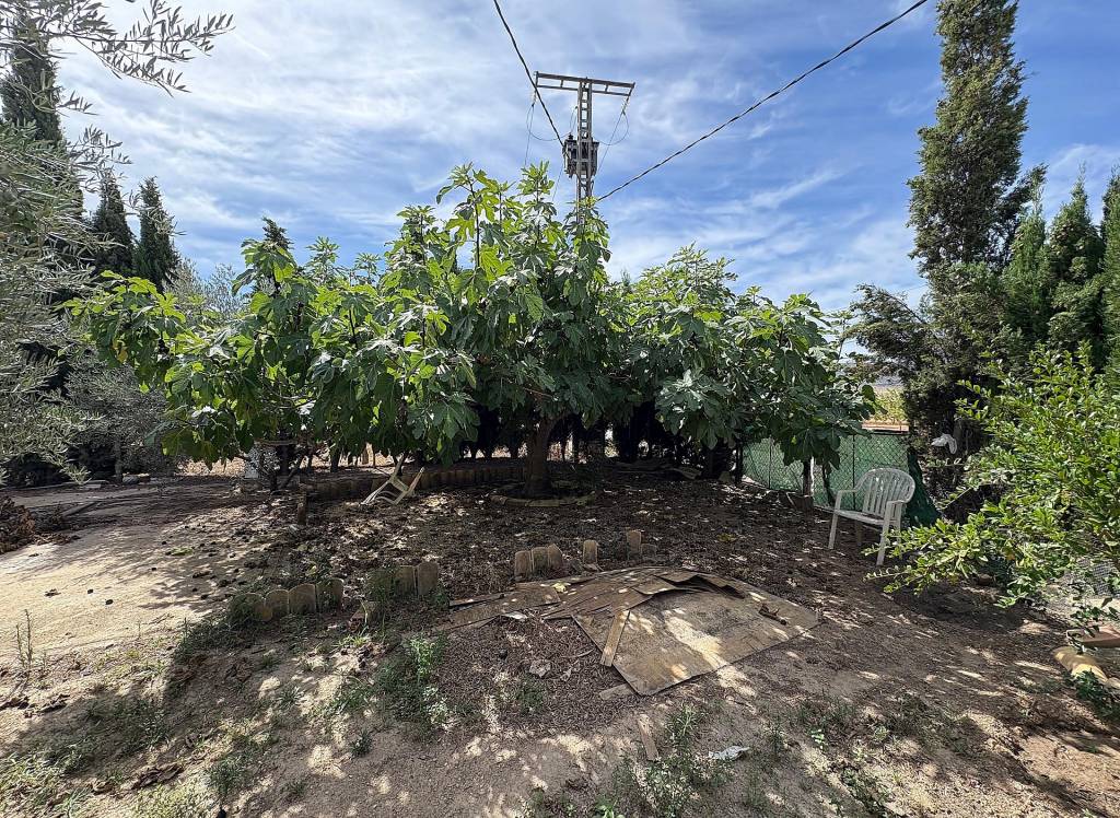 Resale - Semi-Detached - Pinoso