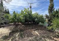 Resale - Semi-Detached - Pinoso