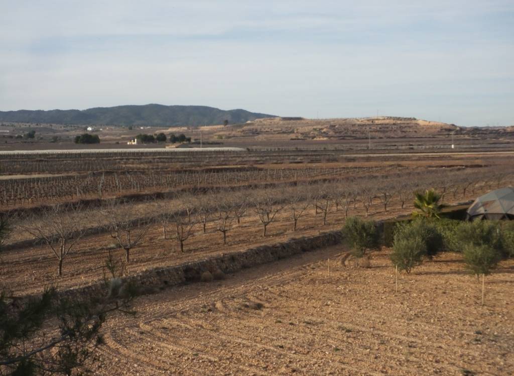 Resale - Town House - Pinoso - Rural location