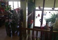 Resale - Town House - Pinoso - Urban location