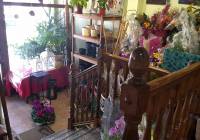 Resale - Town House - Pinoso - Urban location