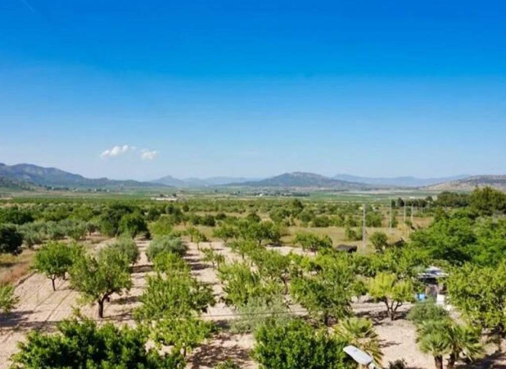 Resale - Townhouse - Casas del Señor