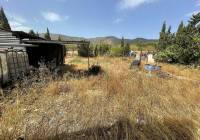 Resale - Townhouse - Salinas