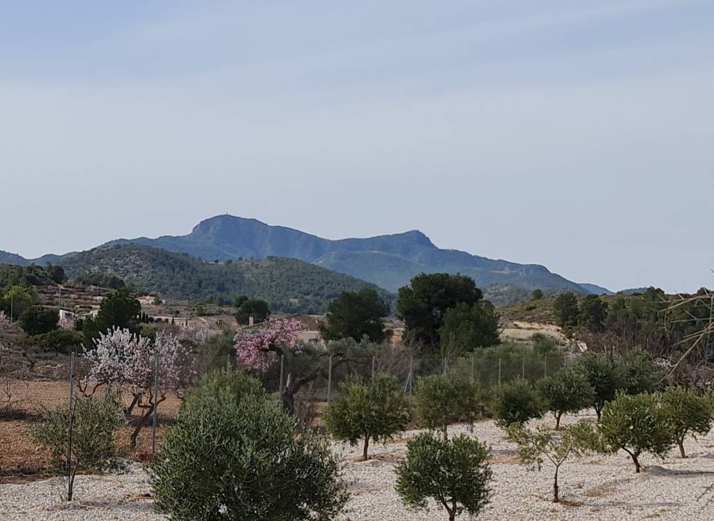 Resale - Villa - Abanilla - Urban location