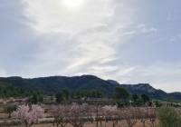 Resale - Villa - Abanilla - Urban location