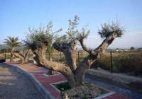 Resale - Villa - Abanilla