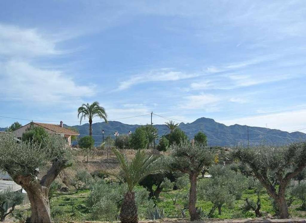 Resale - Villa - Abanilla