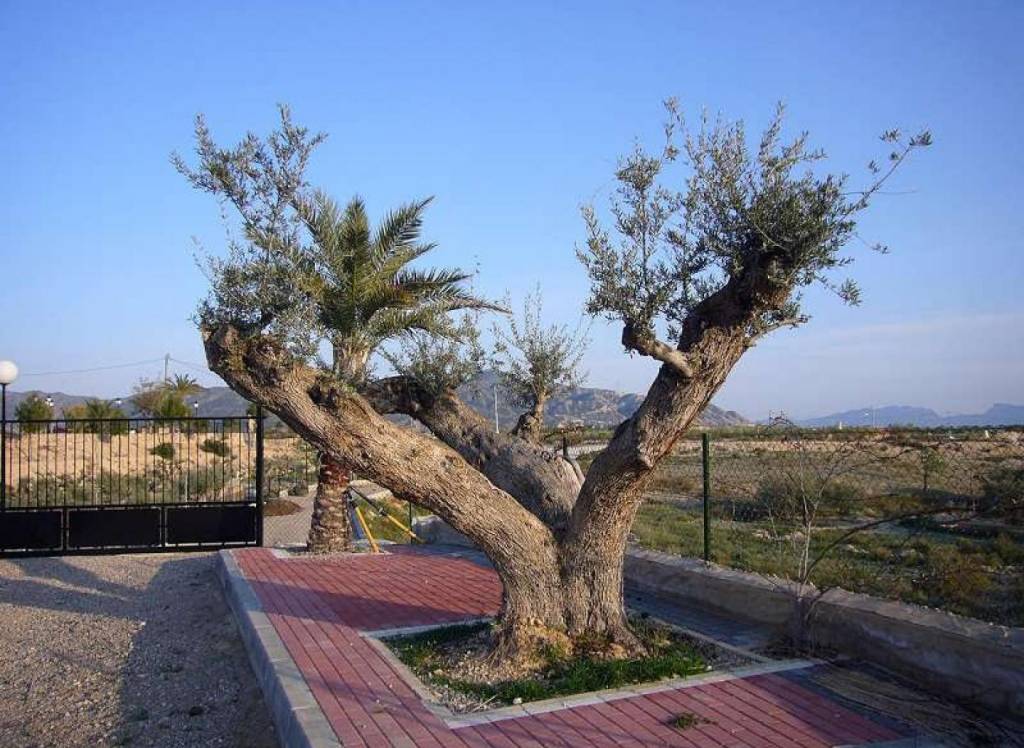 Resale - Villa - Abanilla